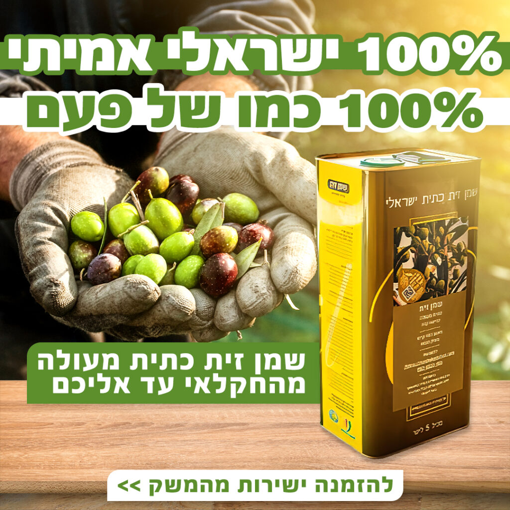 משק פנחס